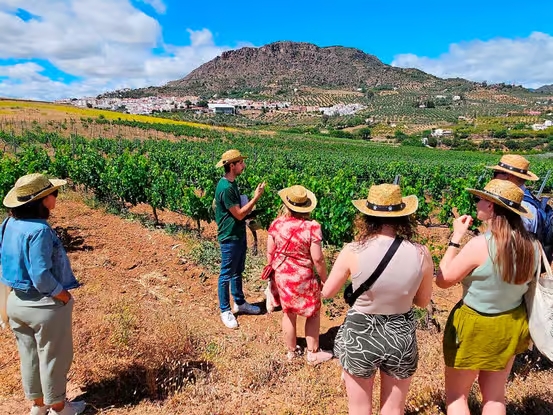 Bodega-Perez-Hidalgo-guia