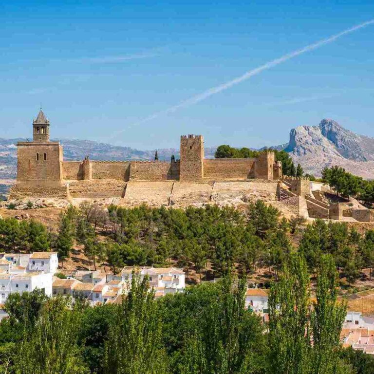 Visita guiada alcazaba y Colegiata 1 11zon 768x768