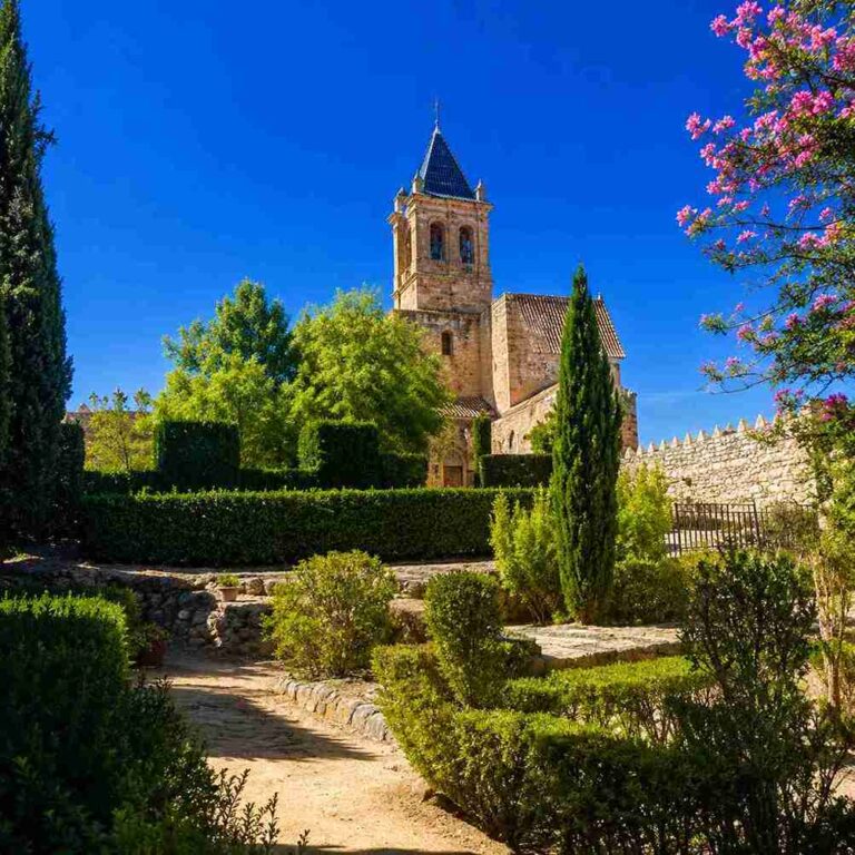 Visita guiada alcazaba y Colegiata 3 11zon 768x768