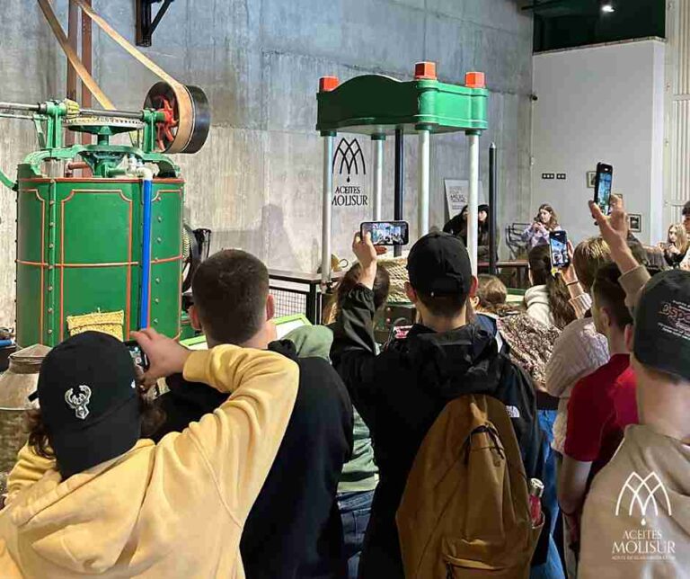 oleoturismo en malaga visita museo del aceite 6 9 768x644
