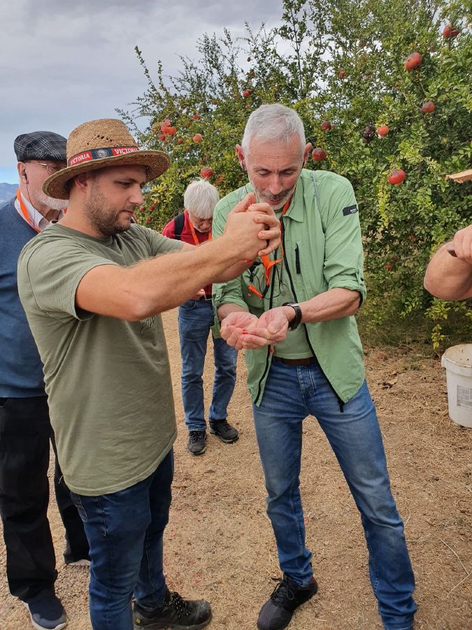 visita finca de citricos juanito orange 9 1