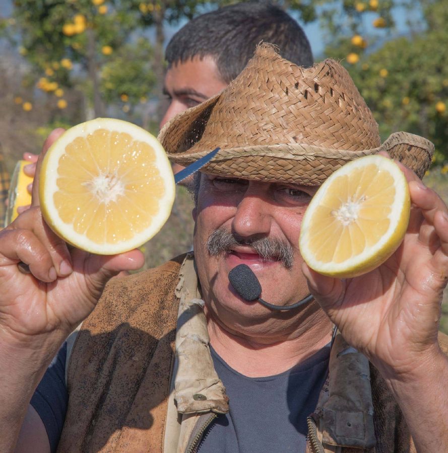 Visita-a-finca-de-cítricos