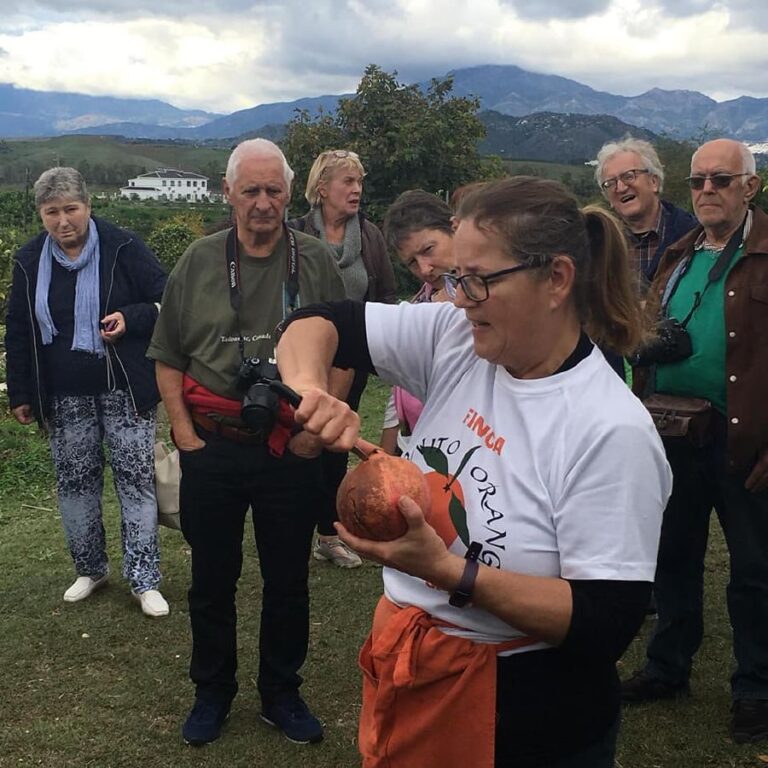 visita finca de citricos juanito orange 9 7 768x768