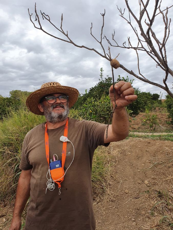 visita finca juanito orange 10