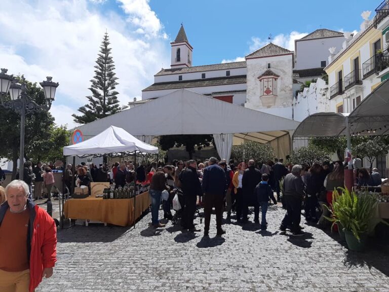 Dia del Pipeo en Casarabonela 1 768x576