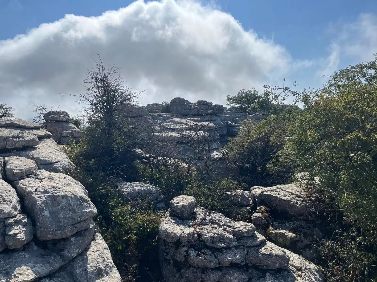 Visita-Geologica-Torcal-Antequera