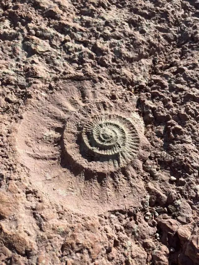 Visita Geologica Torcal Antequera 6