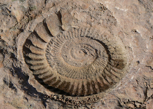 torcal-y-dolmenes