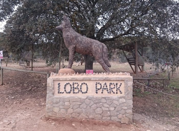 lobo park antequera malaga wolf turismo 700x510 1