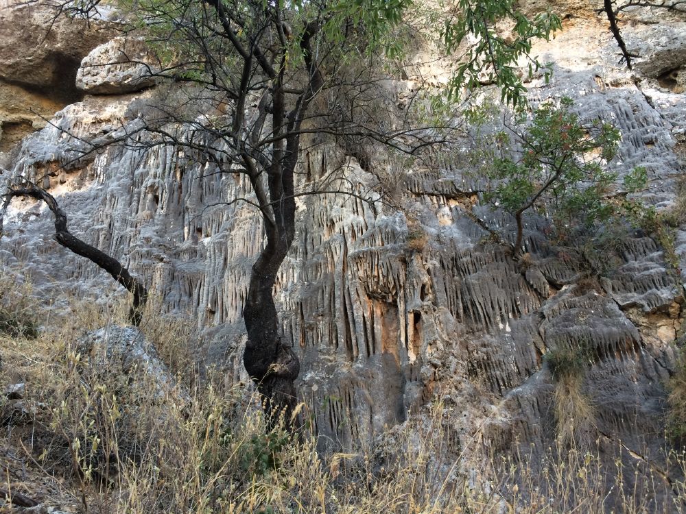 Ruta Jurásica Monte Hacho