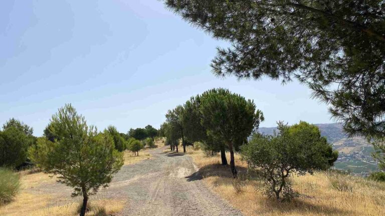 ruta senderismo monte hacho alora 2 768x432