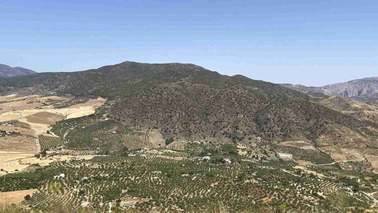 ruta senderismo monte hacho alora 3 768x432